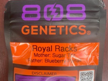 Subastas: (auction) Royal Racks from 808