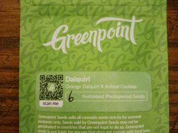 Sell: Daiquiri  Greenpoint seeds