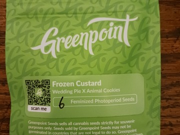 Sell: Frozen custard. Greenpoint seeds