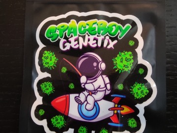 Venta: SpaceBoy Genetics - Lost Galaxy 6 pack Regs