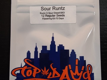 Sell: Top Dawg - Sour Runtz - 12 pack regs