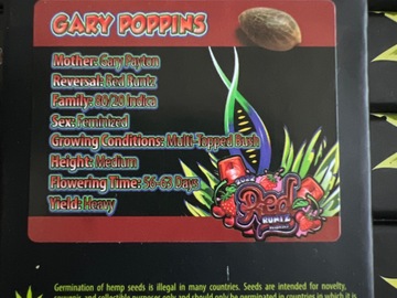 Sell: Exotic genetix Gary Poppins