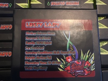 Sell: Exotic Genetix Lusty Lady