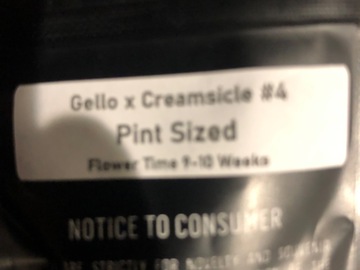 Sell: Pint sized