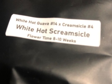 Sell: White hot screamsicle (Clearwater)