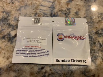 Sell: Cannarado - Sundae Driver F2