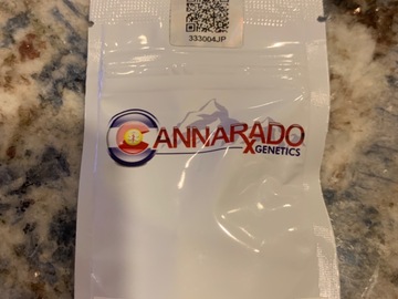 Sell: Cannarado - Sundae Driver