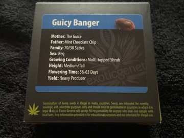 Sell: Guicy Banger