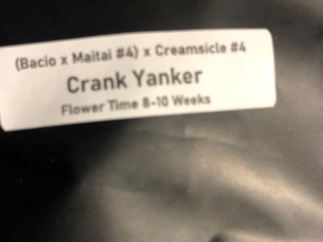 Sell: Crank yanker (Clearwater)