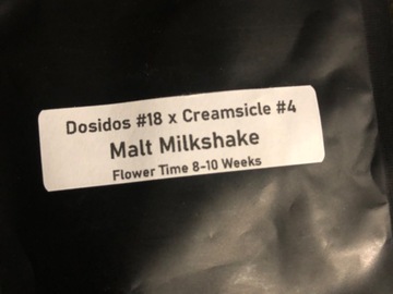Sell: Malt milkshake (Clearwater)