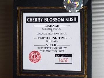 Sell: Cherry Blossom Kush [OBT/CherryPieOG] *Swampboys Seeds