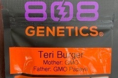 Auction: (AUCTION) Teri Burger from 808