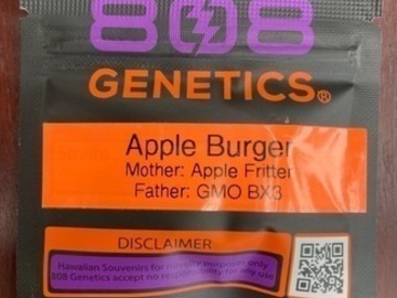 Auction: (AUCTION) Apple Burger from 808