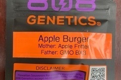 Auction: (AUCTION) Apple Burger from 808