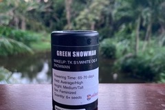Auction: (AUCTION) Green Snowman from Cannarado