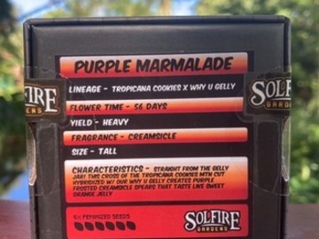 Auction: Purple Marmalade from Solfire