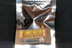 Sell: Peanut Butter Breath x Wilson (Masonic seeds)