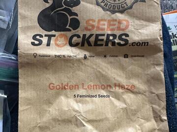 Venta: Golden Lemon Haze Fem-Unopened pack-SEED STOCKERS