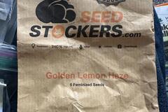 Sell: Golden Lemon Haze Fem-Unopened pack-SEED STOCKERS