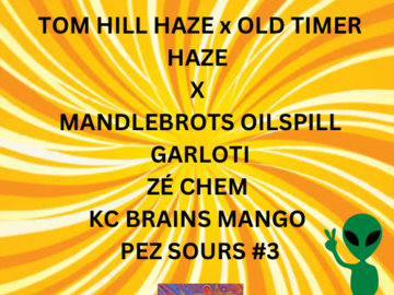 Vente: Tom Hill Haze X Old Timers Haze Breeders Bundle -65 total seeds
