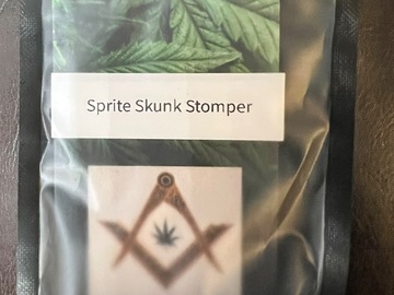 Vente: Sprite Skunk Stomper (12 Fem seeds per pack)