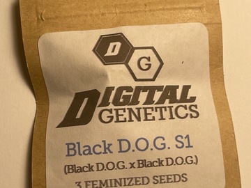 Sell: Digital genetics Black dog s1
