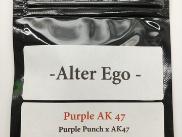 Venta: Purple AK 47 - Purple Punch x AK-47