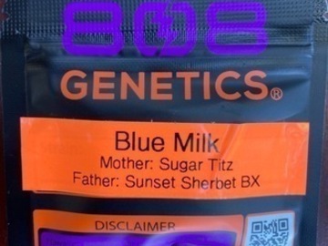 Subastas: (AUCTION) Blue Milk from 808