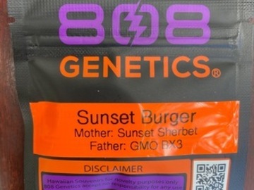 Auction: (AUCTION) Sunset Burger from 808