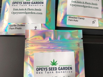 Sell: Opey’s Garden Fem photo and auto bundle