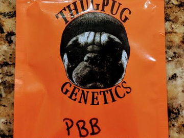 Sell: Thug Pug - Peanut Butter Breath