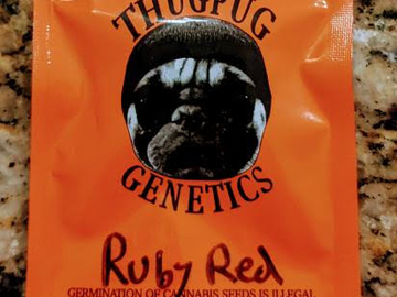 Sell: Thug Pug - Ruby Red