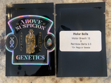 Sell: Above Suspicion Genetics - Motor Belts