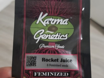 Vente: Rocket juice rocket fuel=jet fuel OG by karma feminized