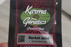 Vente: Rocket juice rocket fuel=jet fuel OG by karma feminized