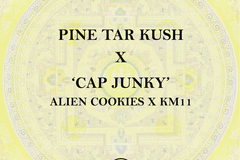 Vente: Pine Tar Kush x Cap Junky - Limited Release