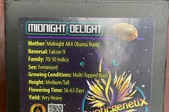 Vente: Midnight Delight from Exotic Genetix