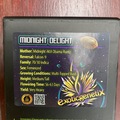 Venta: Midnight Delight from Exotic Genetix