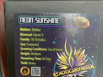 Neon Sunshine from Exotic Genetix