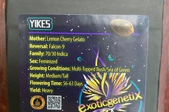 Vente: Yikes from Exotic Genetix