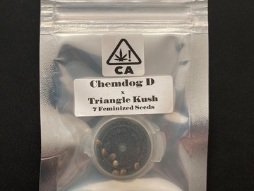 Sell: Chemdog D x Triangle Kush - CSI:Humboldt
