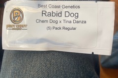 Sell: Best Coast Rabid Dog (Chem Dawg x Tina Danza)