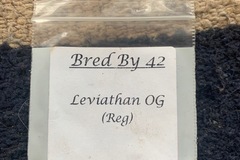 Venta: Leviathan OG