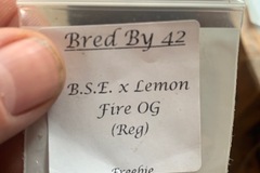Vente: B.S.E. x Lemon Fire OG