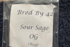 Vente: Sour Sage OG