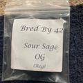 Vente: Sour Sage OG