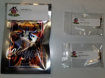 Sell: Kali Mist F4 +2 AK Bean Brains freebies