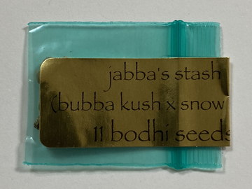 Bodhi Seeds - Jabba’s Stash - Bubba Kush x Snow Lotus 12 Regular