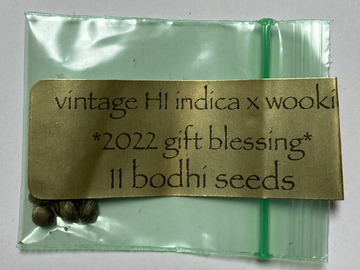 Bodhi Seeds - Vintage Hawaiian  x Wookie - 13 Regular