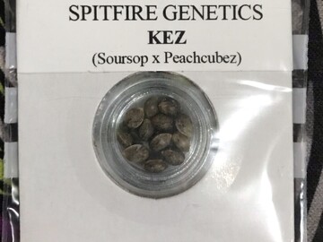 Sell: Spitfire Genetics: Kez (Soursop x Peach Cubez)